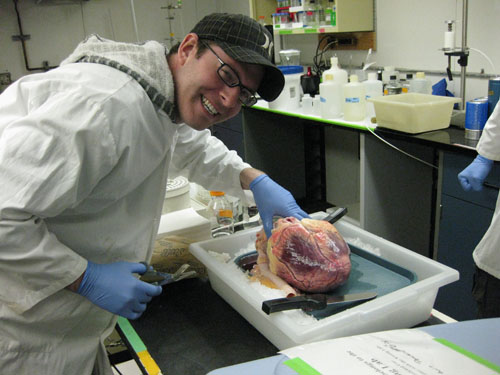 Ian preparing bovine myofibrils
